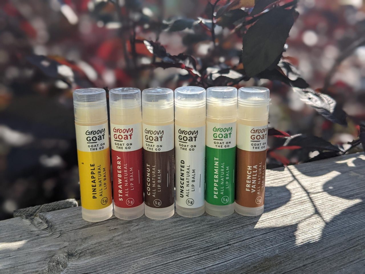 Goat Milk Lip Balm