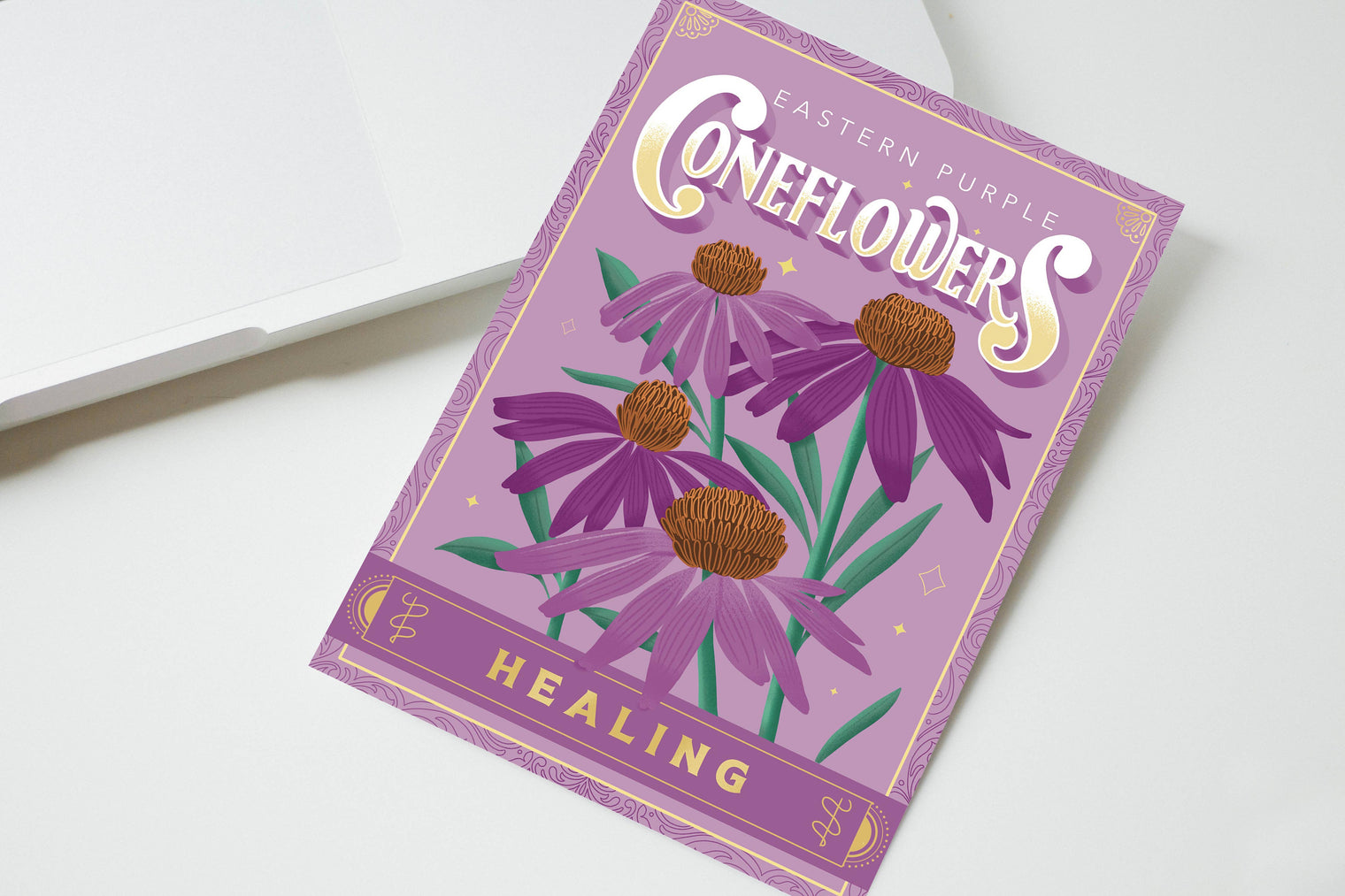 Purple Coneflower (Healing) - Greeting Card