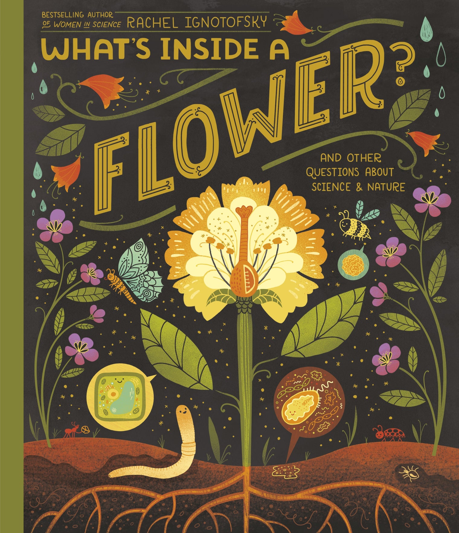 What's Inside A Flower? And Other Questions About Science and Nature