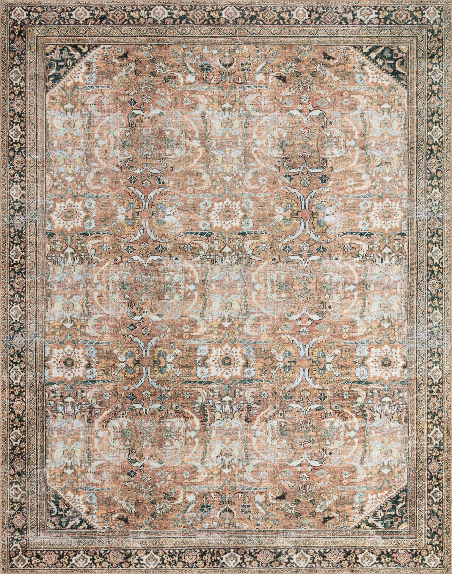 Loloi Wynter Auburn / Multi Rug