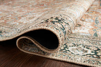 Loloi Wynter Auburn / Multi Rug