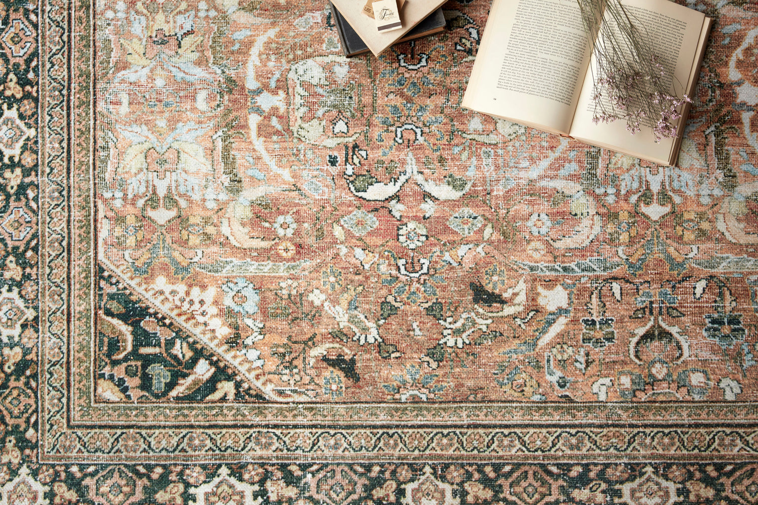 Loloi Wynter Auburn / Multi Rug